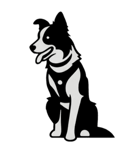Damsan.Life Logo
